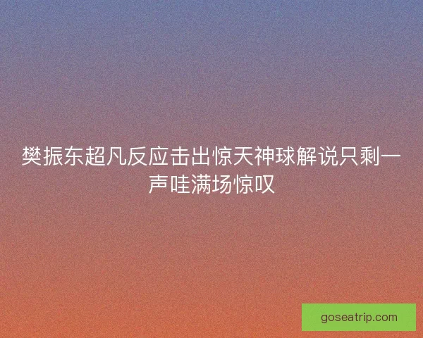 樊振东超凡反应击出惊天神球解说只剩一声哇满场惊叹