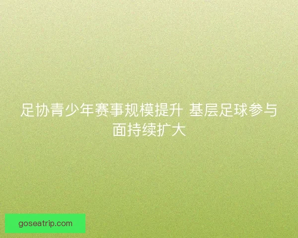足协青少年赛事规模提升 基层足球参与面持续扩大