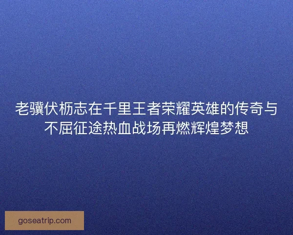 老骥伏枥志在千里王者荣耀英雄的传奇与不屈征途热血战场再燃辉煌梦想