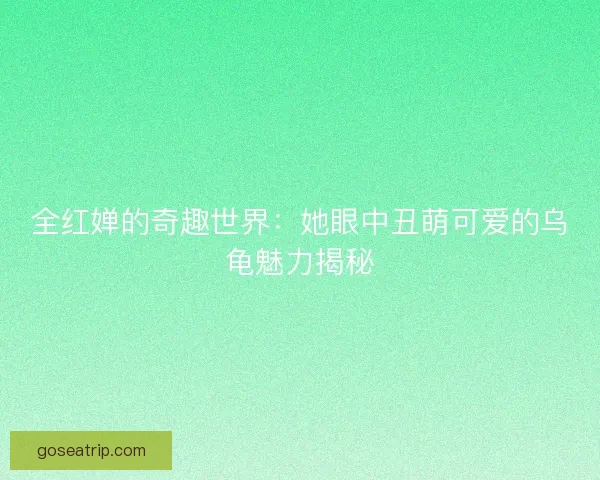 全红婵的奇趣世界：她眼中丑萌可爱的乌龟魅力揭秘