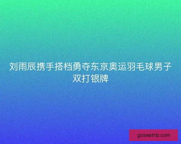 刘雨辰携手搭档勇夺东京奥运羽毛球男子双打银牌